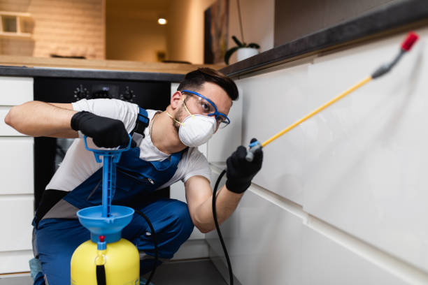 Best Local Pest Control Services  in Jefferson, TX