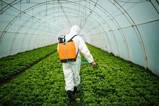 Best Pest Control for Businesses  in Jefferson, TX